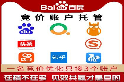 某品牌sem竞价托管代运营的精彩瞬间